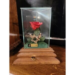 Vintage MCM Lifesake Glass Dome Real Rose Music‎ Box Diorama, Works, Rare 1970s